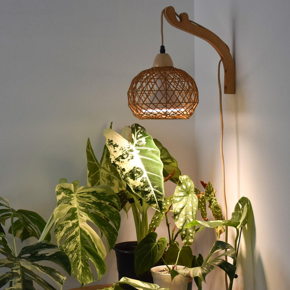 Bstrip hanging grow light with boho rattan shade for year-round indoor greenery.