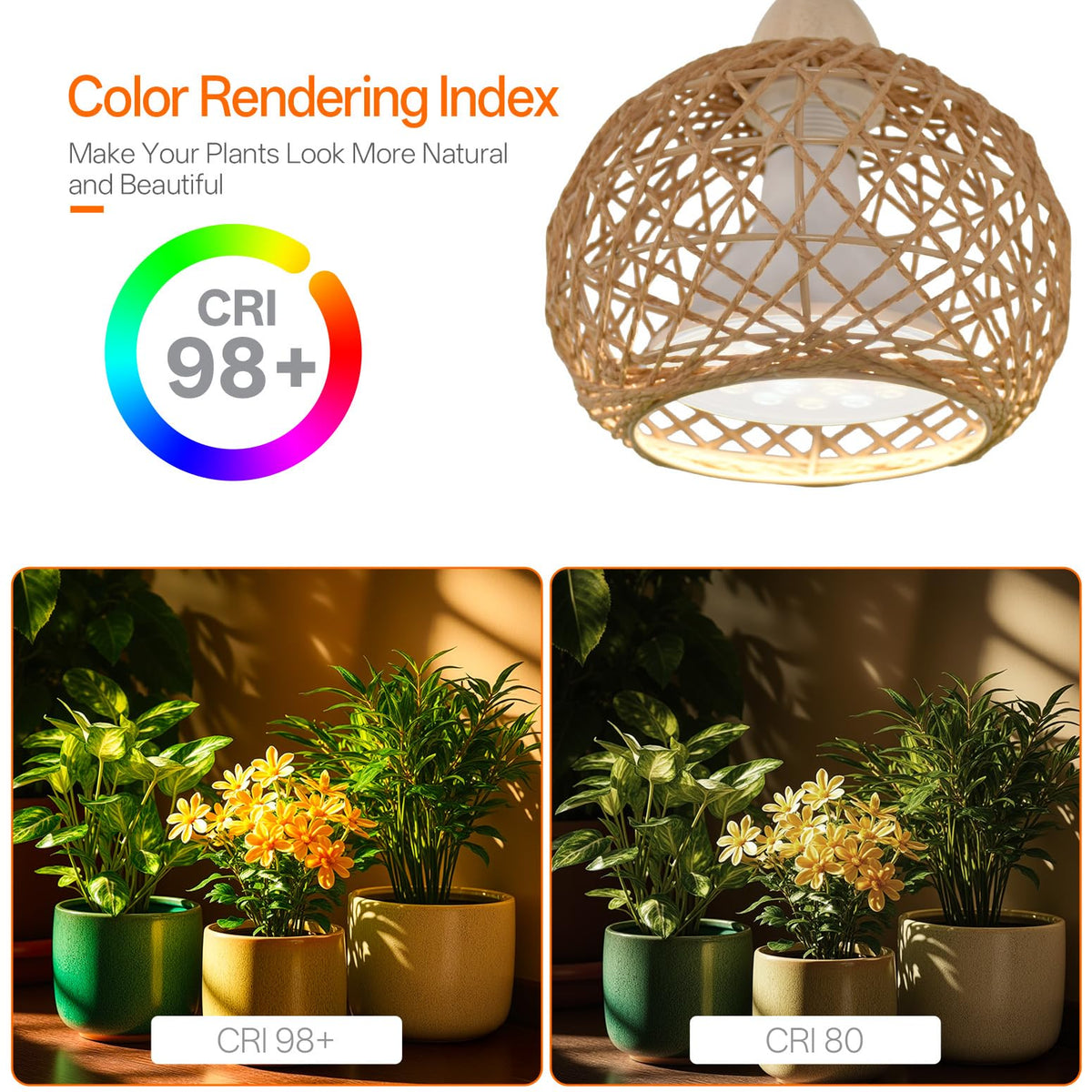 Bstrip 547.3 PPFD at 8 inches supports lush indoor foliage.