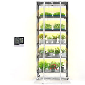 Bstrip Indoor Greenhouse front view showing compact footprint for seeds and small plants.