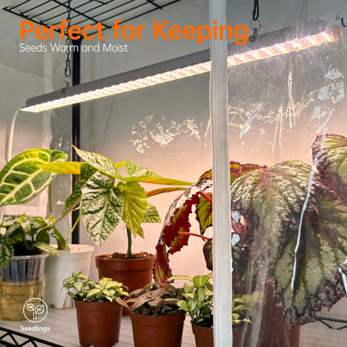Bstrip roll-up door and EVA cover for easy observation and controlled watering.