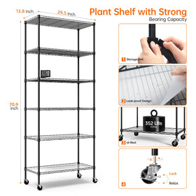 Bstrip spacious display area ideal for indoor plants and blooms.