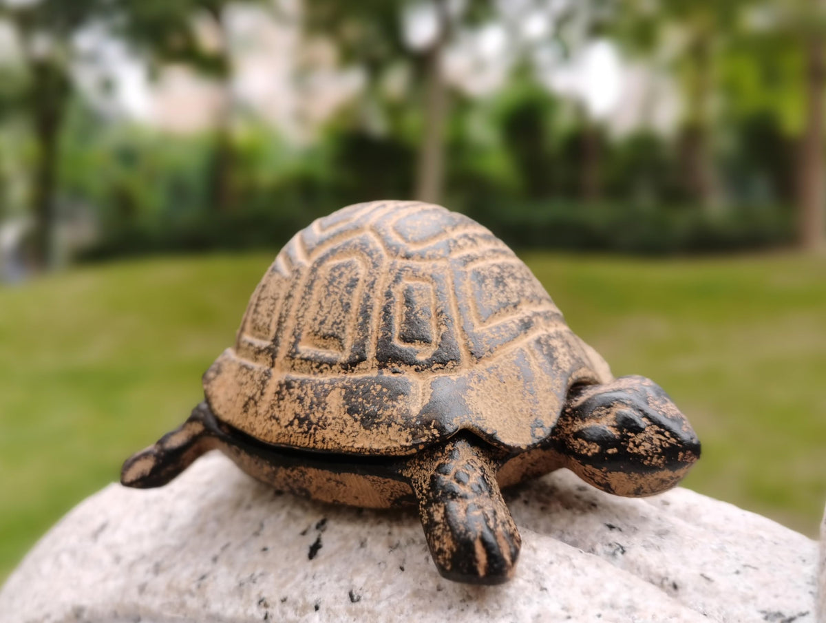 BSTWISH garden turtle statue key hider blends with greenery while keeping keys accessible.