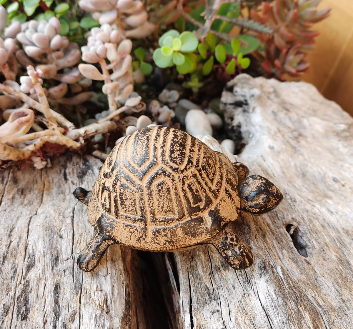 BSTWISH turtle key box on patio offers reliable access without tipping.