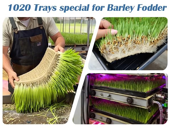 BTPLASTIK 1020 seed tray showing 21x11 footprint designed for dome compatibility.