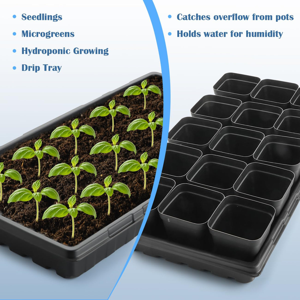 BTPLASTIK 1020 seed tray ideal for microgreens in compact indoor spaces.