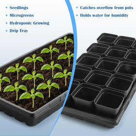 BTPLASTIK 1020 seed tray ideal for microgreens in compact indoor spaces.