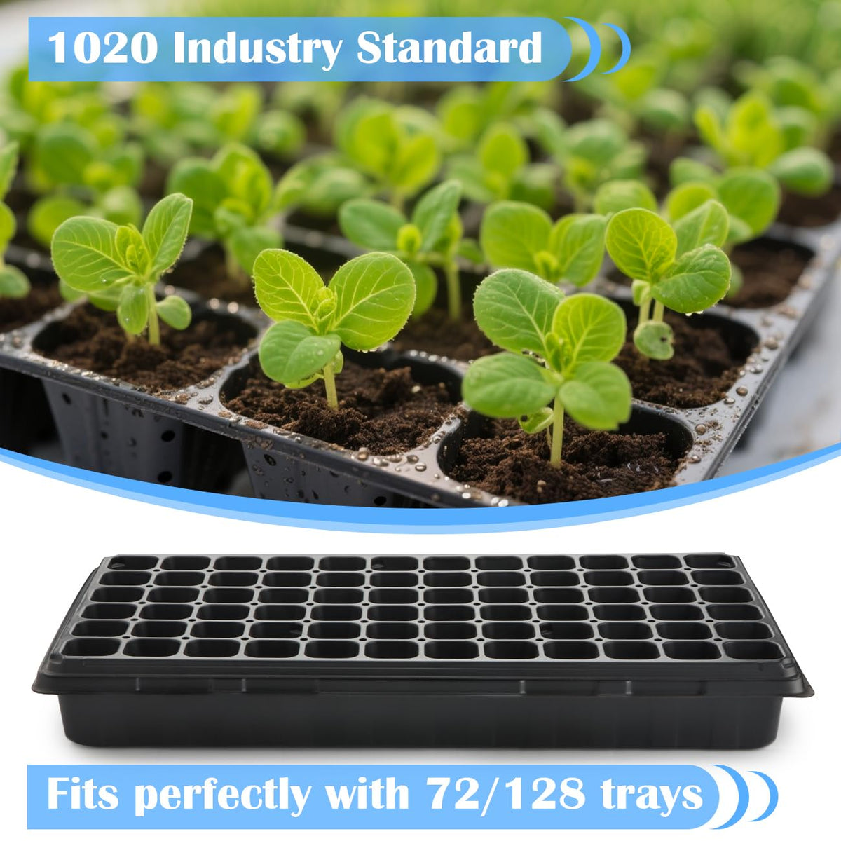 BTPLASTIK 1020 tray in use during transport of seedlings with minimal bending.