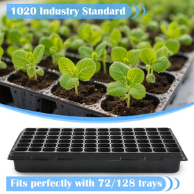 BTPLASTIK 1020 tray in use during transport of seedlings with minimal bending.