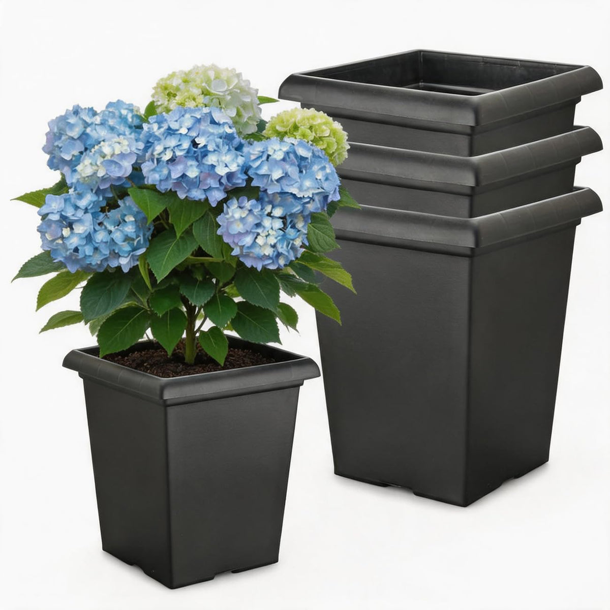 BTPLASTIK 10-inch square planter with drainage holes for healthy root drainage.