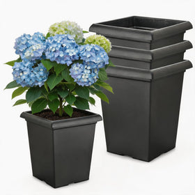 BTPLASTIK 10-inch square planter with drainage holes for healthy root drainage.