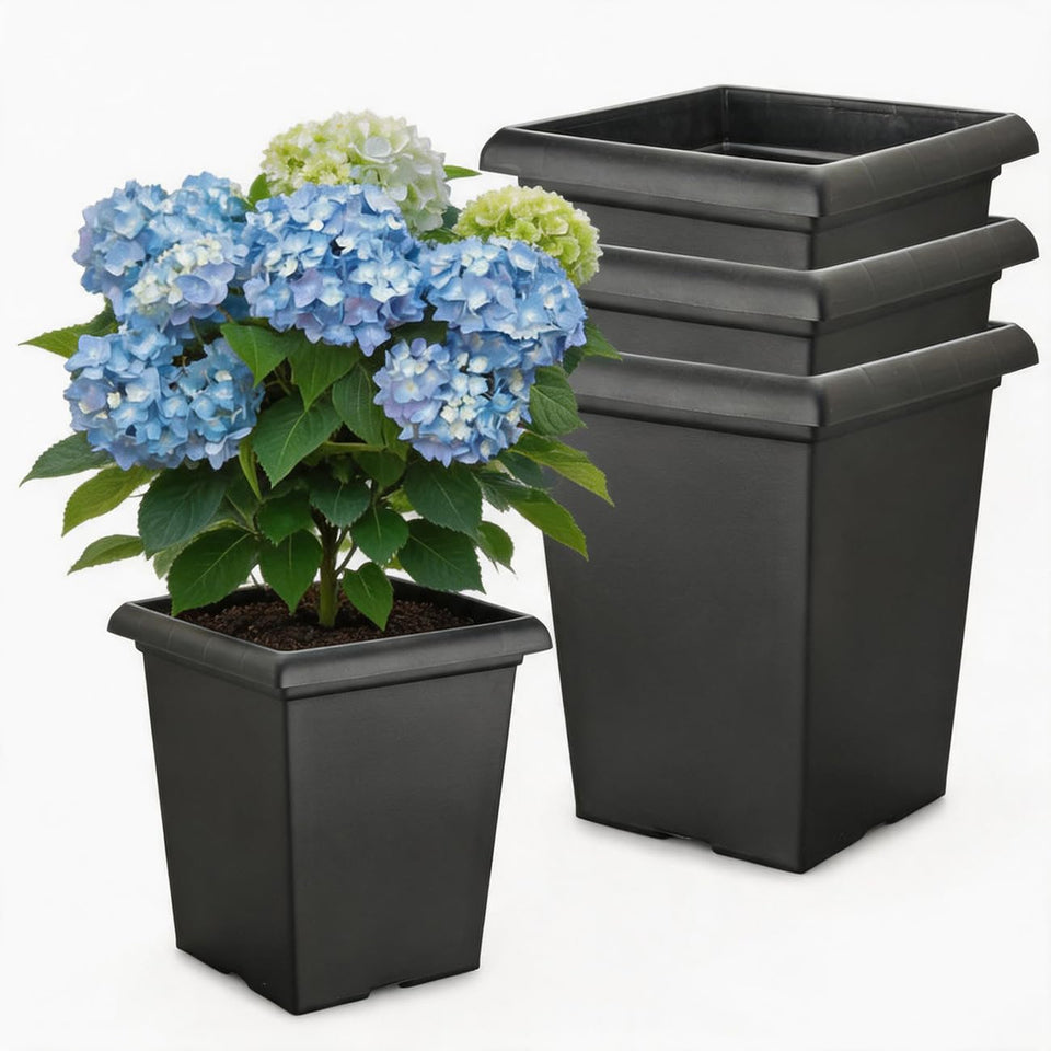 BTPLASTIK 10-inch square planter with drainage holes for healthy root drainage.