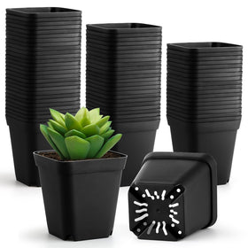 BTPLASTIK 4-inch seedling pot in black for easy transplanting.