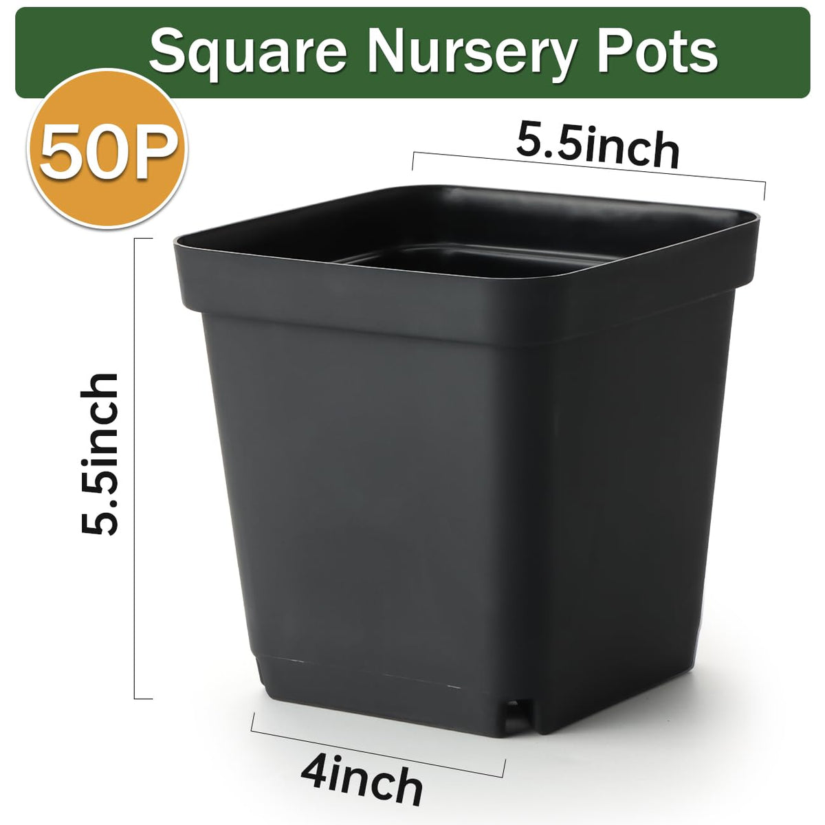 BTPLASTIK 50-pack square pots for succulents, herbs and cuttings.