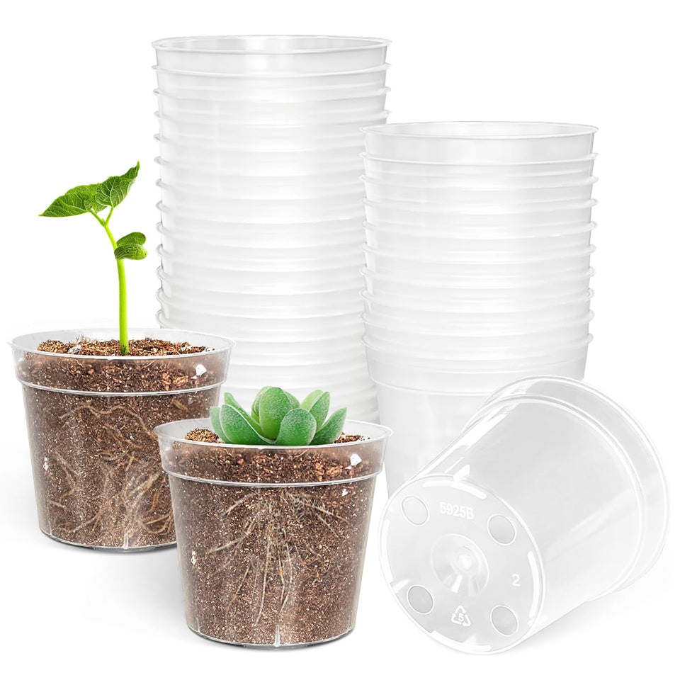 BTPLASTIK 50-pack 2.5-inch clear nursery pot with root observation for seedlings.