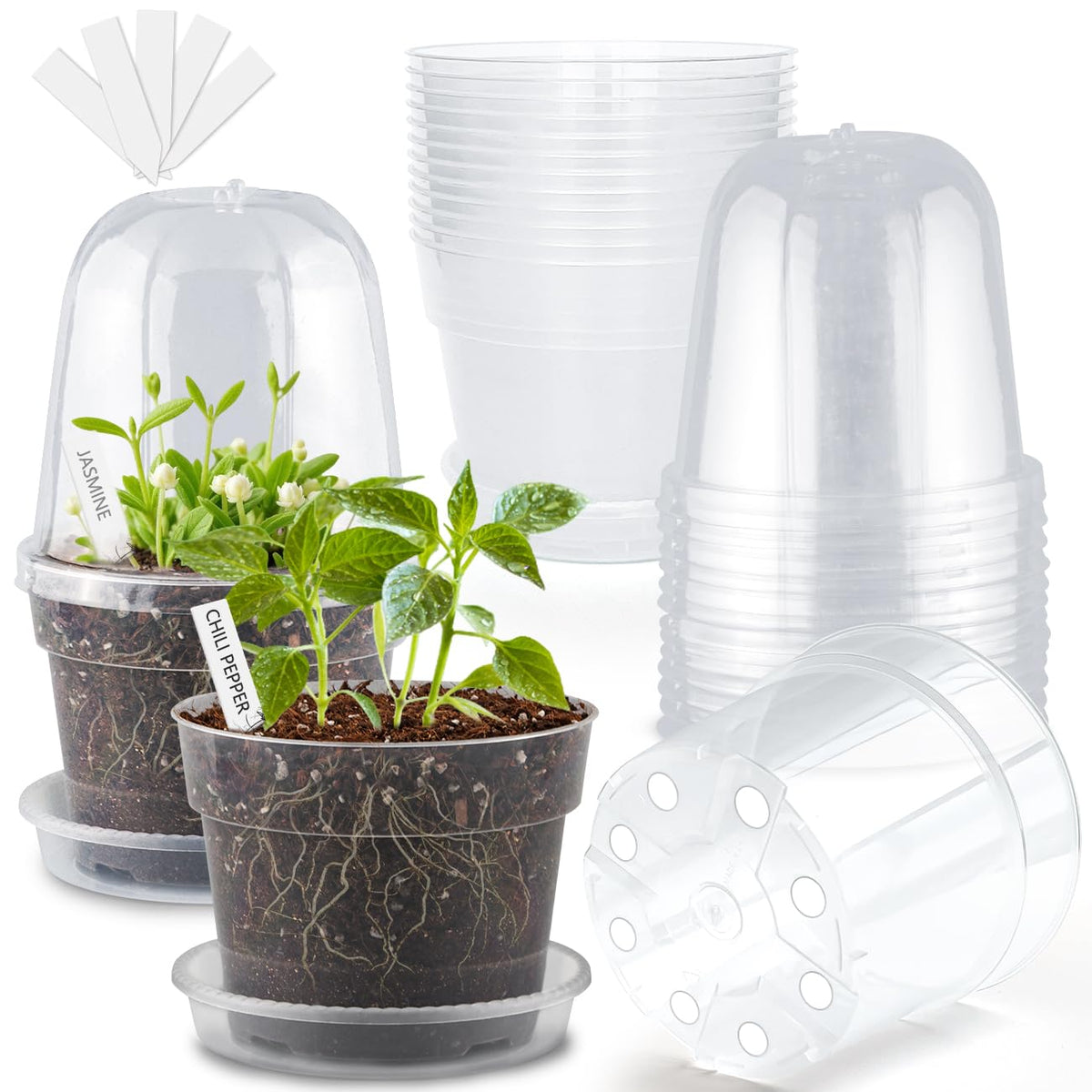 BTPLASTIK 6-inch clear nursery pot with humidity dome for easy seed monitoring