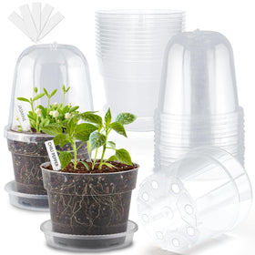 BTPLASTIK 6-inch clear nursery pot with humidity dome for easy seed monitoring