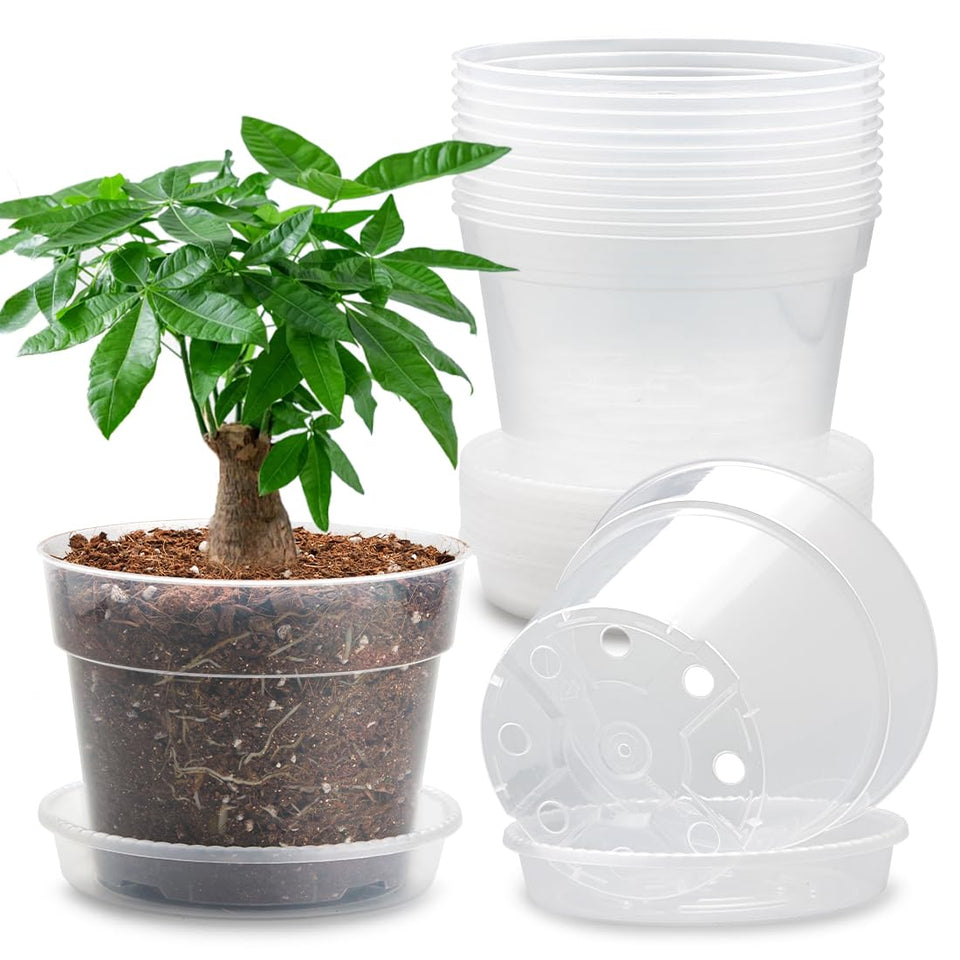 BTPLASTIK 7-inch clear nursery pot with saucer showing root visibility for monitoring