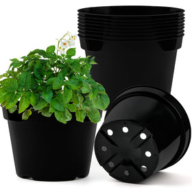 BTPLASTIK 8-inch plastic plant pots with drainage holes for versatile indoor and outdoor gardening.