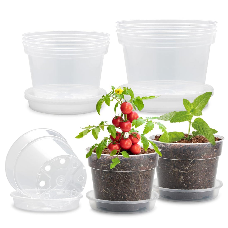 BTPLASTIK clear 6-inch nursery pot with saucer for seedling growth and clean surfaces.