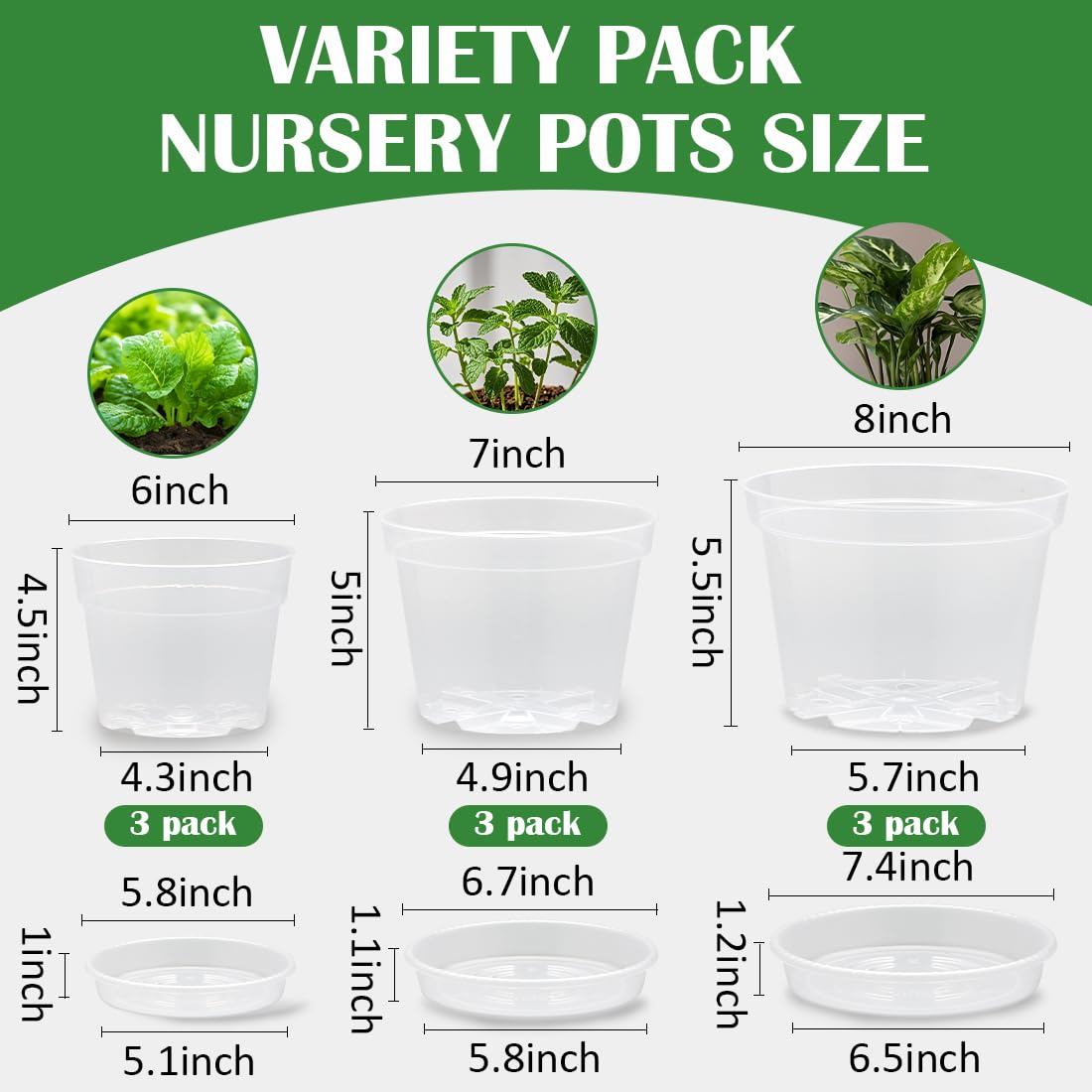 BTPLASTIK clear 7-inch nursery pot with saucer ideal for transplanting and root view.