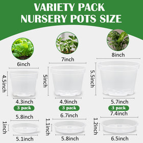 BTPLASTIK clear 7-inch nursery pot with saucer ideal for transplanting and root view.