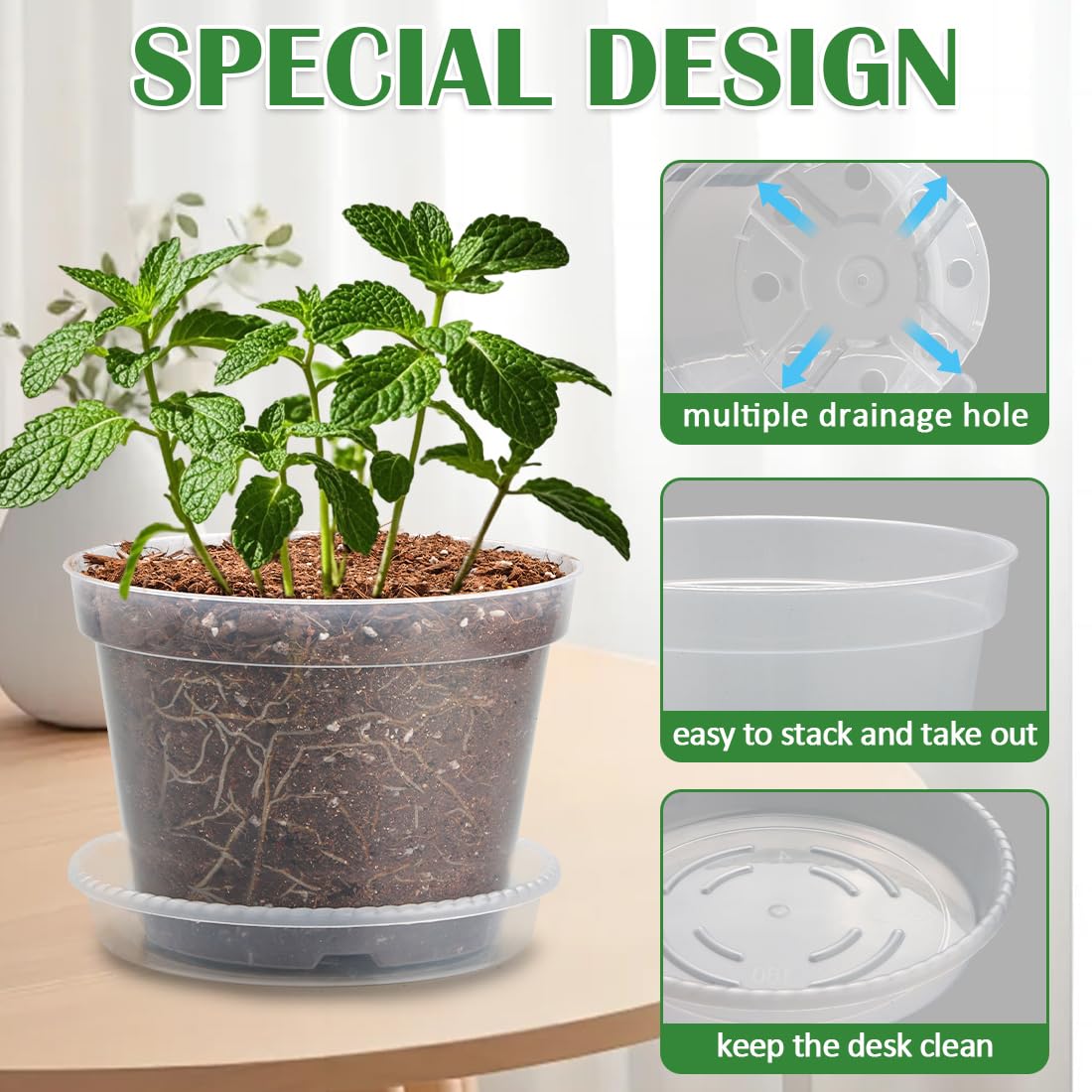 BTPLASTIK clear 8-inch nursery pot with saucer supports healthy roots and easy watering.