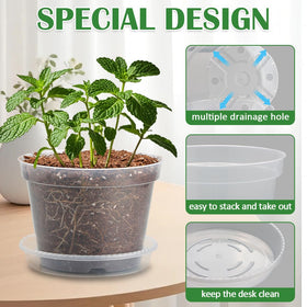 BTPLASTIK clear 8-inch nursery pot with saucer supports healthy roots and easy watering.