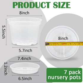 BTPLASTIK clear pot with saucer set keeps surfaces clean.