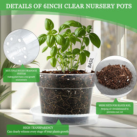 BTPLASTIK clear nursery pot and deep saucer to keep workspace clean