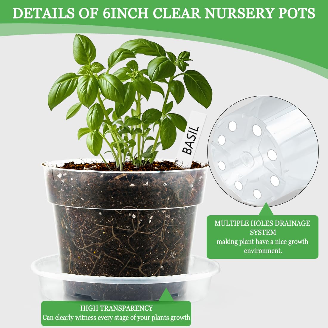 BTPLASTIK clear nursery pots with labels for easy plant tracking.