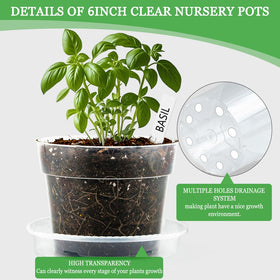 BTPLASTIK clear nursery pots with labels for easy plant tracking.