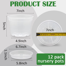 BTPLASTIK clear plant pot with drainage holes highlighting watering control