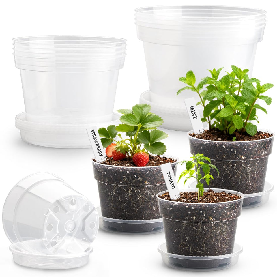 BTPLASTIK clear pot 10-inch with drainage hole highlighting root visibility for easy watering