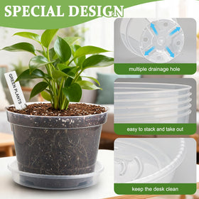 BTPLASTIK clear pot 6-inch with drainage hole for compact seedling trays and tidy spaces