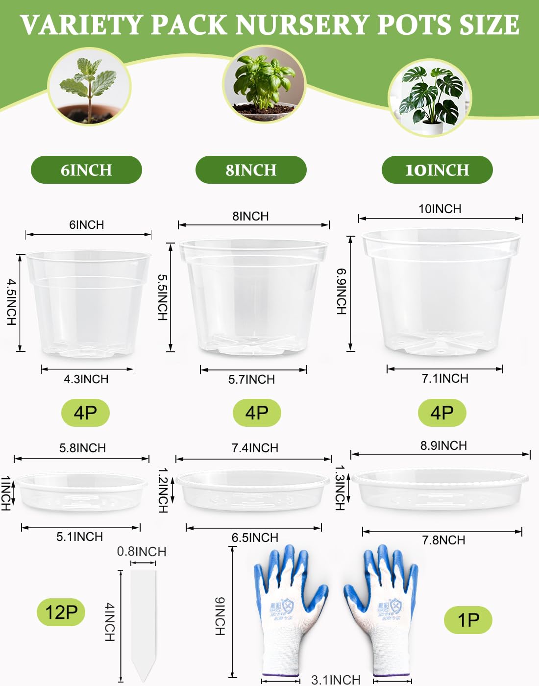 BTPLASTIK clear pot 8-inch with drainage hole enables quick repotting and healthy root development