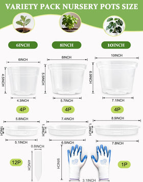 BTPLASTIK clear pot 8-inch with drainage hole enables quick repotting and healthy root development