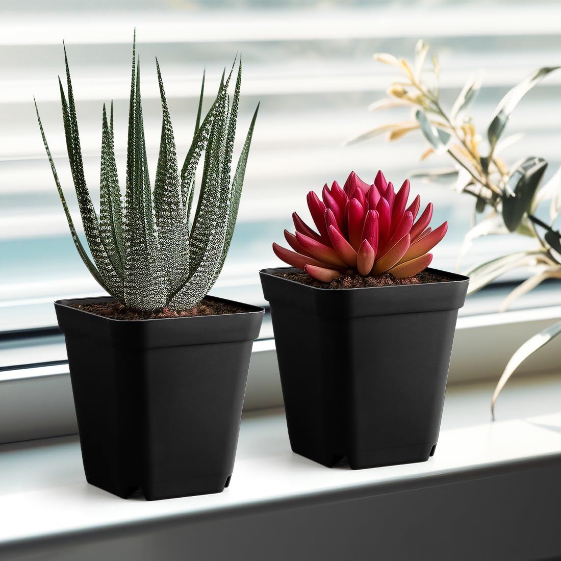 BTPLASTIK compact nursery pot for organized seed starting kits.