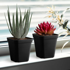 BTPLASTIK compact nursery pot for organized seed starting kits.