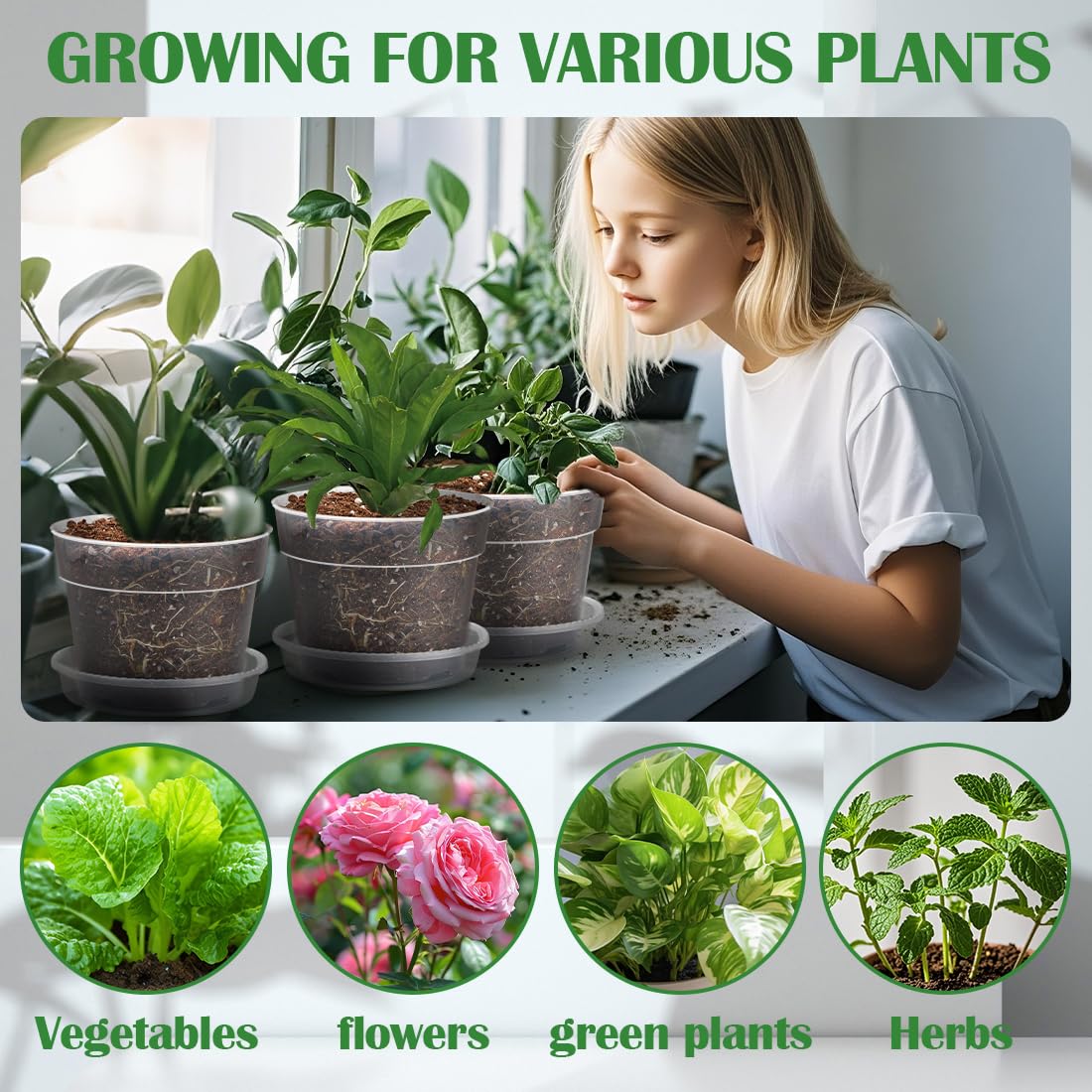 BTPLASTIK complete growing kit supporting succulents herbs and flowers