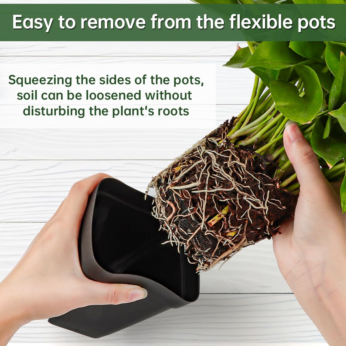 BTPLASTIK durable PP material keeps pots lightweight and sturdy