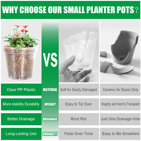 BTPLASTIK indoor/outdoor pots suitable for germination and seedling growth.