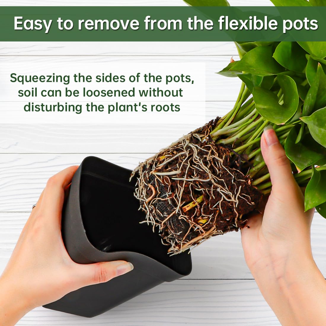 BTPLASTIK easy-transplant pot helps loosen soil without disturbing roots.