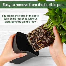 BTPLASTIK easy-transplant pot helps loosen soil without disturbing roots.