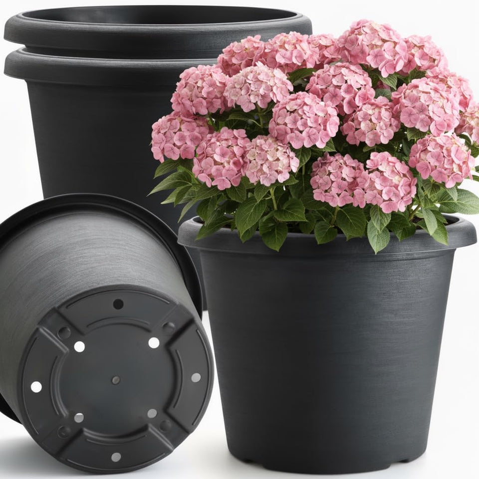 BTPLASTIK planter with textured cement design adds premium curb appeal to outdoor spaces