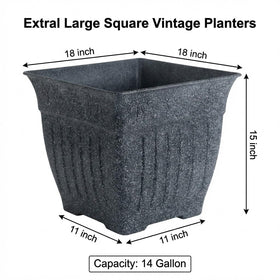BTPLASTIK imitation cement finish adds rustic charm without heavy weight