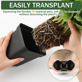 BTPLASTIK indoor outdoor plant pot ideal for seedling use.