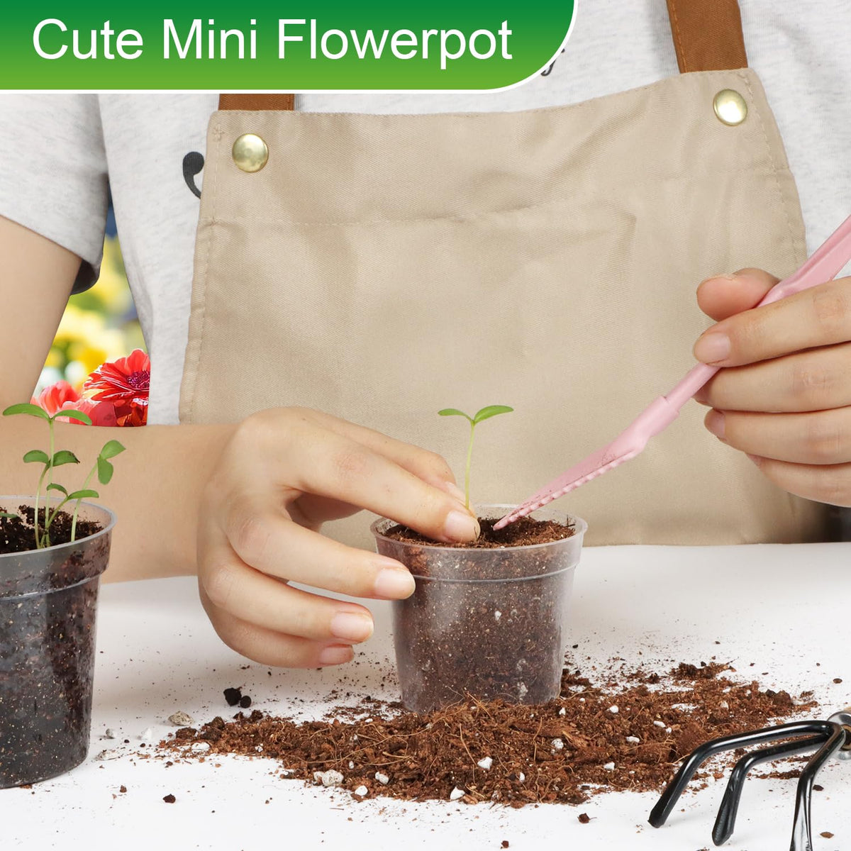 BTPLASTIK seedling starter pot with transparent walls for root checks.