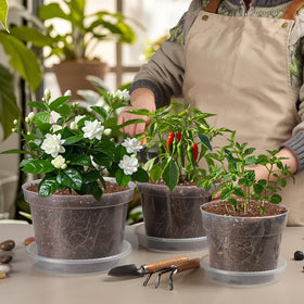 BTPLASTIK matching plant trays with pots to collect overflow and protect furniture.