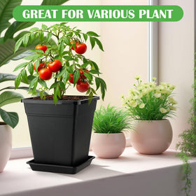 BTPLASTIK matte black planters complement modern decor on patios.