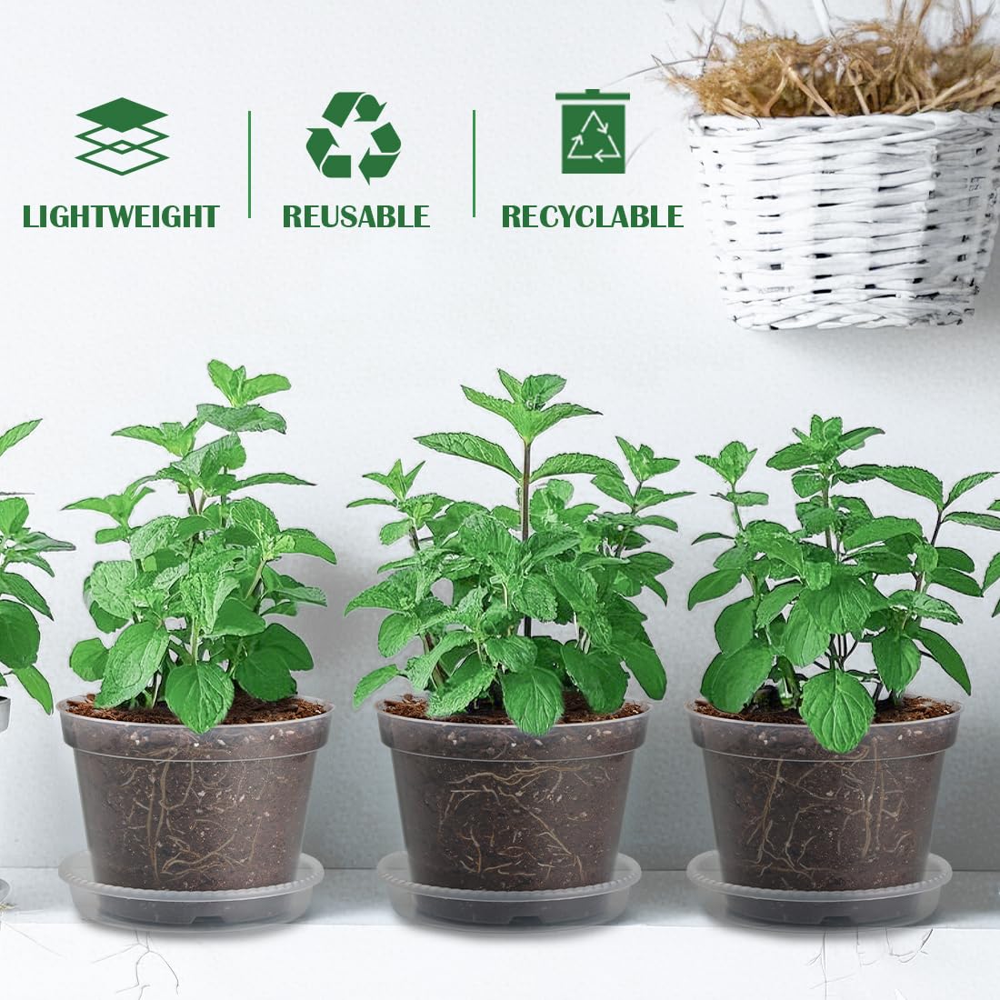 BTPLASTIK versatile nursery pot for succulents and herbs.